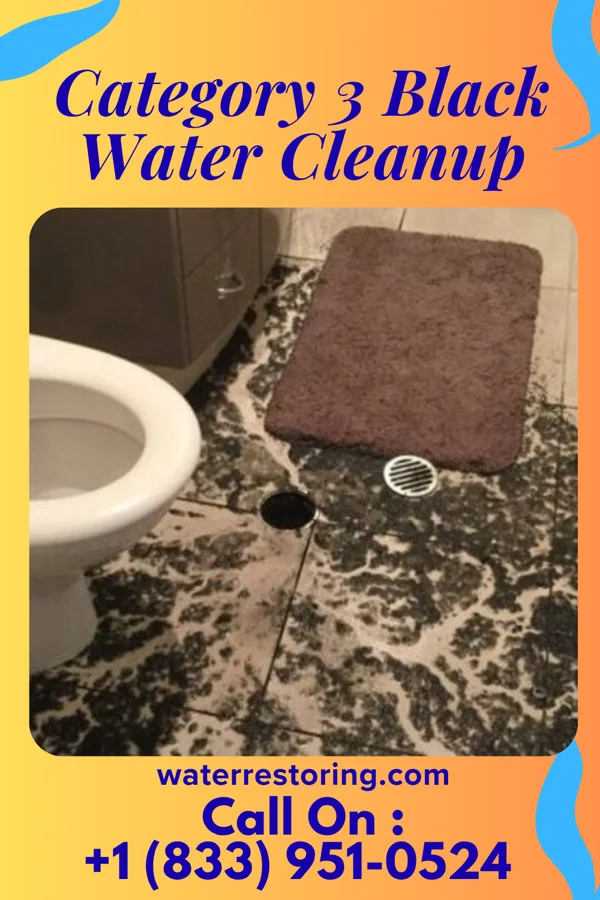 Category 3 Black Water Cleanup in Rancho Mesa Verde, AZ
